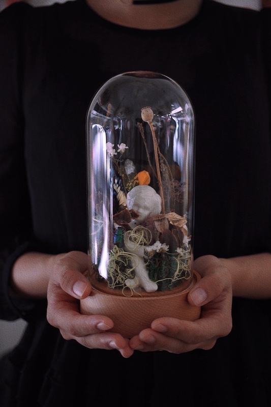 𝐺𝑙𝑎𝑠𝑠 𝑆𝑝𝑒𝑐𝑖𝑚𝑒𝑛 𝐷𝑜𝑚𝑒 復古感昆蟲標本玻璃音樂盒